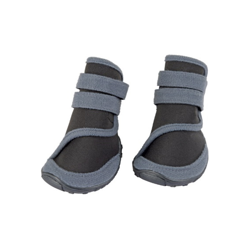 کفش تدی سگ کربل